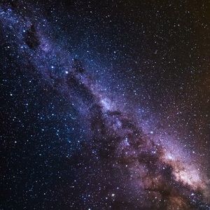 Meet your Posher, Will